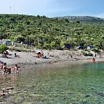 Holiday Tedo Klek