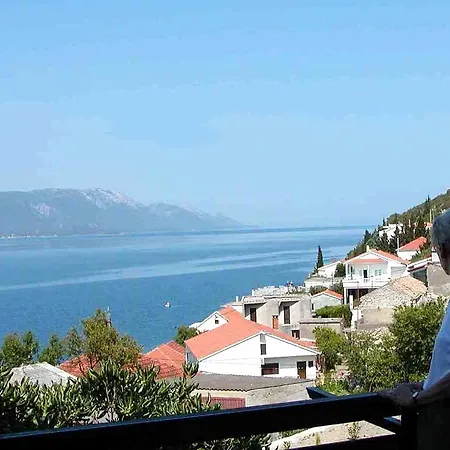 Holiday Tedo