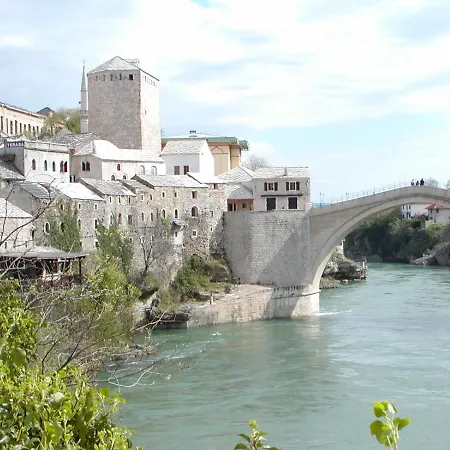 Holiday Tedo * クレック