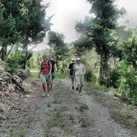 別荘 Holiday Tedo *