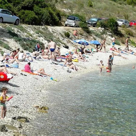 Holiday Tedo * クレック