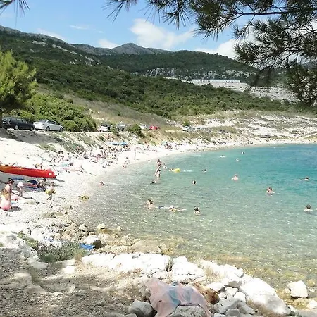 Holiday Tedo