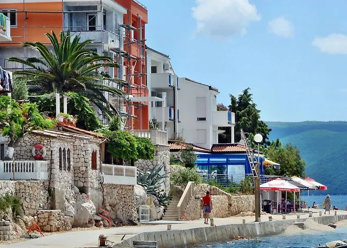 Holiday Tedo * 克勒克