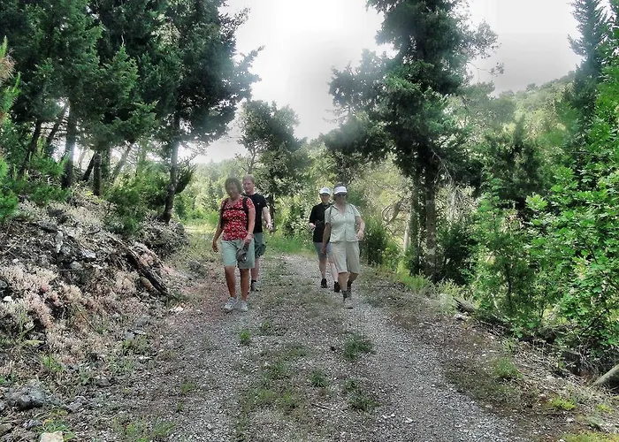 度假居 Holiday Tedo *