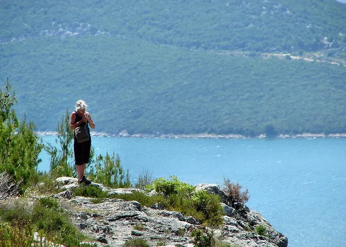 Holiday Tedo 度假居